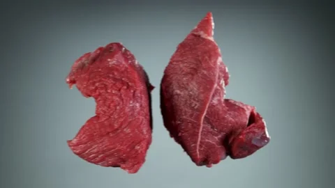 Flying piece of raw beef steaks hitting up in the air Stock Footage 139806437