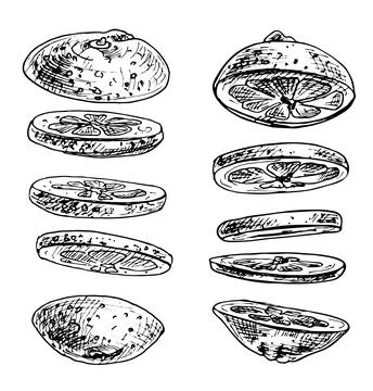 Flying pieces of fresh lemon. Vector vintage hatching black illustration. Stock Illustration