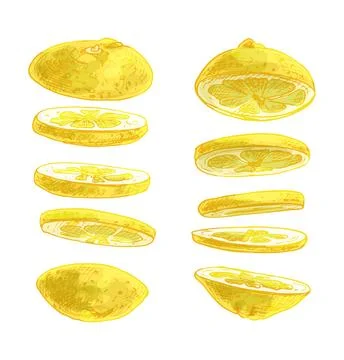 Flying pieces of fresh lemon. Vector vintage hatching color illustration. Stock-Illustration