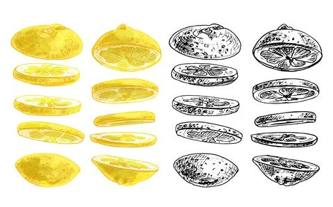 Flying pieces of fresh lemon. Vector vintage hatching color illustration. Stock Illustration