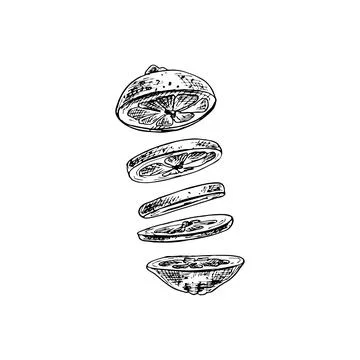 Flying pieces of fresh lemon. Vector vintage hatching black illustration. Stock Illustration