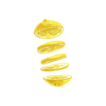 Flying pieces of fresh lemon. Vector vintage hatching color illustration. Stock Illustration