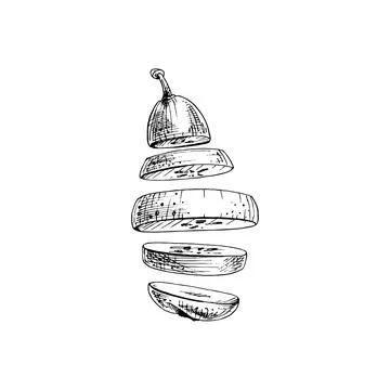 Flying pieces of fresh pear. Vector vintage hatching color illustration. Stock Illustration