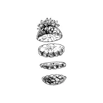 Flying pieces of fresh pineapple. Vector vintage hatching black illustration. Stock Illustration
