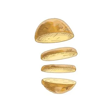 Flying pieces of fresh potato. Vector vintage hatching color illustration. Stock Illustration