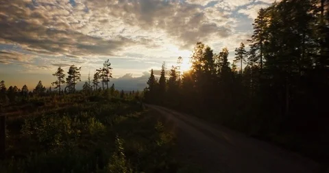 Flying in pine forest 스톡 동영상 108568274