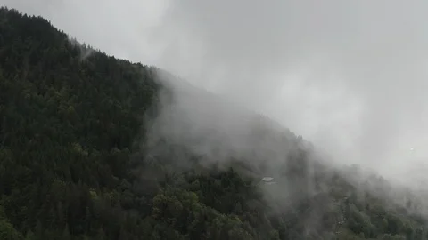 Flying In The Pine Mist - DJI Mavic Pro 2 - 4K - 23.98 fps - Megeve, FRA Stock Footage 122333860