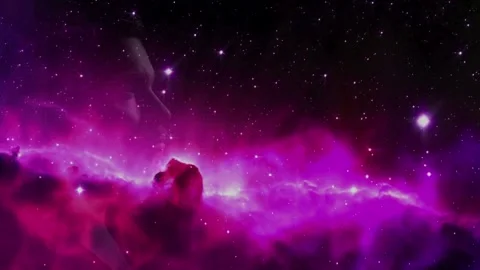 Flying in the pink cosmos Stock Footage 273947457