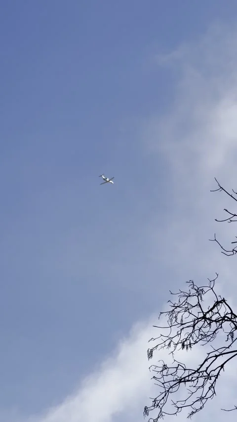 Flying plane against the background of a cloudy sky and trees Stock Footage 241005409