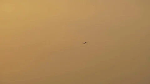 Flying Plane at Sunset Stock Footage 75173258