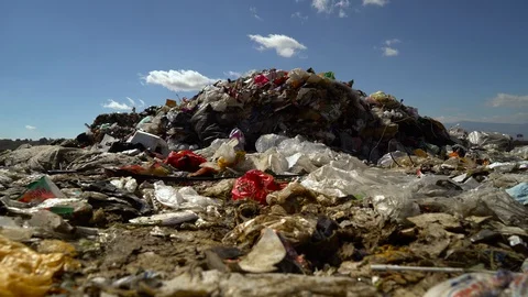 Flying plastic bags. A strong wind inflates the garbage lying in the landfill Stock Footage 127887366