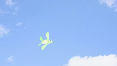 Flying plastic turtle 動画素材 120664717