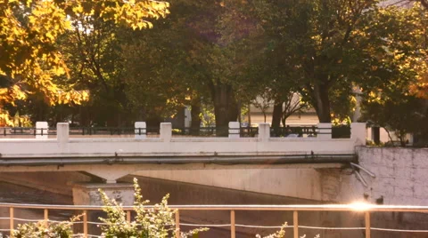 Flying polen at sunset  Stock Footage 1047422