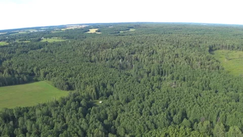 Flying on powered parachute over the forest and field in Belarus. Vídeos de archivo 112015640