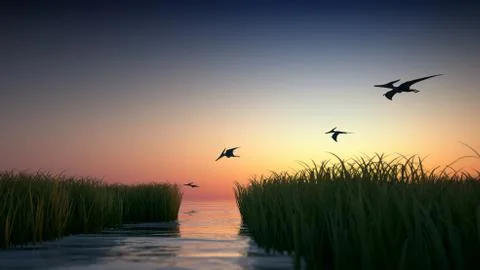 Flying pteranodon Stock Illustration