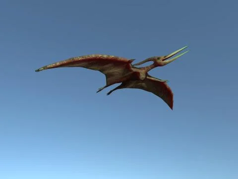 Flying pteranodon Stock Illustration