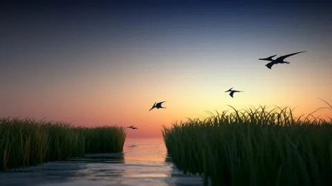 Flying pteranodon over grass Stock Illustration