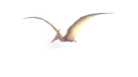 Flying pterodactyl dinosaur Stock Footage 311530590