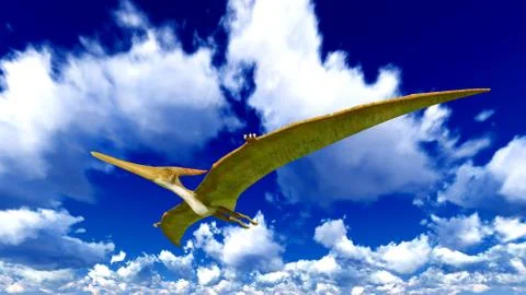 Flying pterodactyl Stock Illustration