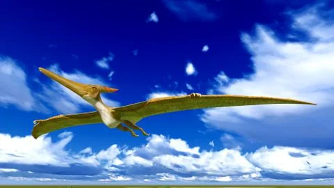 Flying pterodactyl Stock Illustration