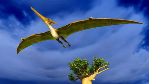 Flying pterodactyl Illustrazione stock