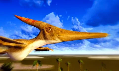 Flying pterodactyl Stock Illustration