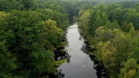 Flying a quadcopter along the river flowing through the forest Stock Footage 114519205