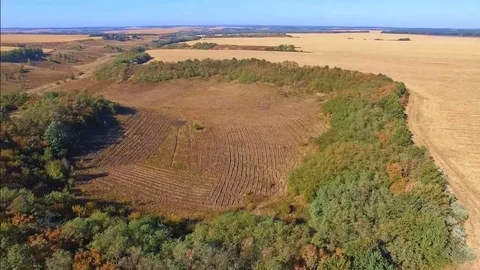Flying quadcopter over the cleaned area of agricultural fields Vídeos de archivo 73307046