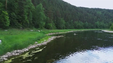 Flying quadcopter over the river and trees Stock Footage 246581029