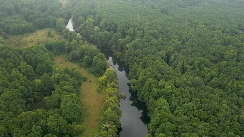 Flying on a quadcopter over the river flowing through the forest Stock Footage 114519330