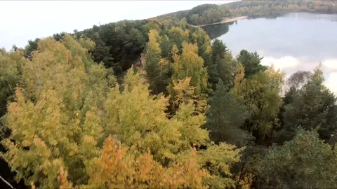 Flying on a quarry white sand forest Stock Footage 167067170