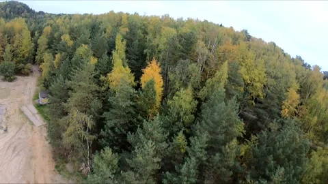 Flying on a quarry white sand forest Stockbeeldmateriaal 167069037