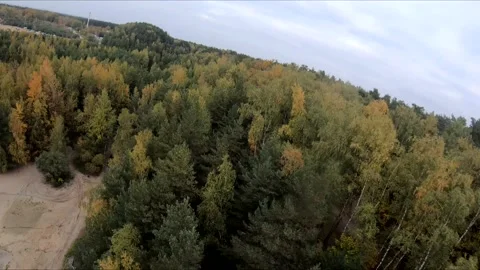 Flying on a quarry white sand forest Stock Footage 167069836