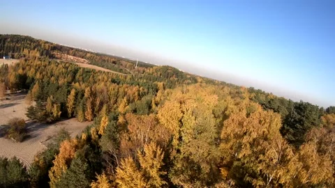Flying on a quarry white sand forest Stock Footage 167198262