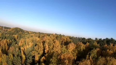 Flying on a quarry white sand forest Stock Footage 167199035