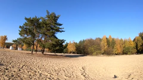 Flying on a quarry white sand forest Stock Footage 167199211