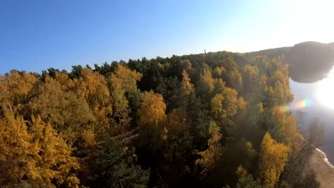 Flying on a quarry white sand forest Stock Footage 167199337