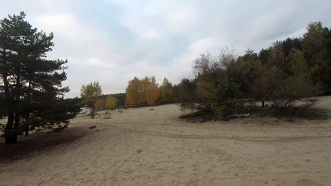 Flying on a quarry white sand forest Stock Footage 167199821