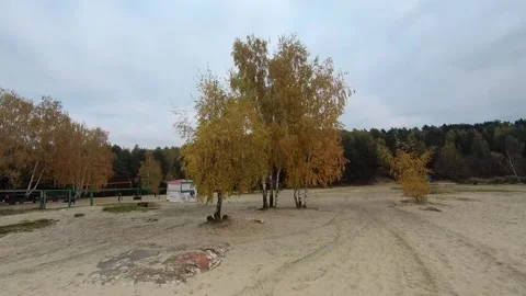 Flying on a quarry white sand forest Stock Footage 167200318