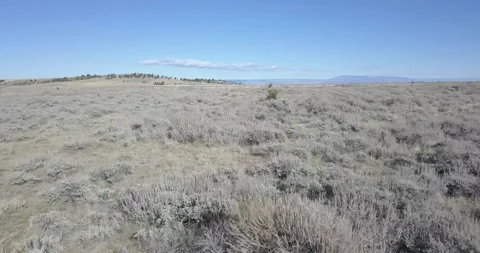 Flying Quickly Over Wild Native Grasslands, Aerial Drone Shot Stock Footage 281768292