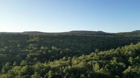 Flying qyickly over forest trees aerial footage (with shawangunk ridge behind) Stock Footage 251666510