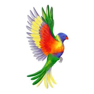 Flying rainbow vector lorikeet. Colorful vivid parrot. Tropical jungle bird Stock Illustration