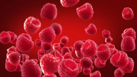 Flying of Raspberry in Deep Red Background Stock Footage 129404958
