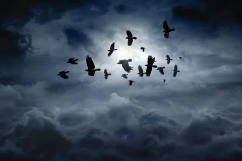 Flying ravens Stock-Fotos