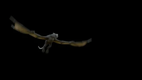Flying Realistic Dragon. Stock Footage 106929153
