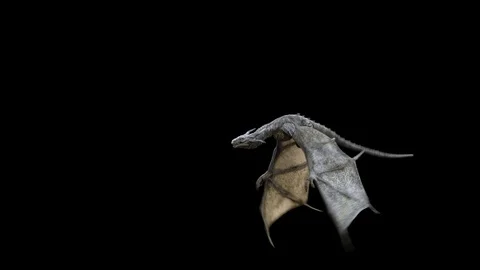 Flying Realistic Dragon. Stock Footage 114087269