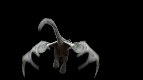 Flying Realistic Dragon. Stock Footage 114109808
