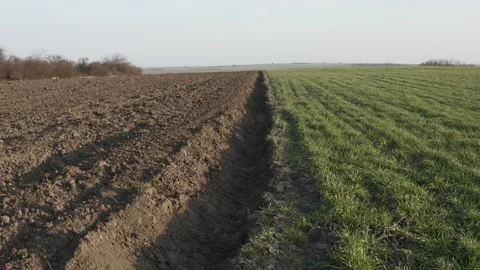 Flying really close to the ground on a large field on a beautiful day Видео 150428790