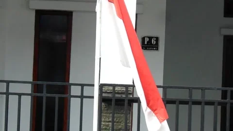 Flying red and white flag Stock Footage 251594128