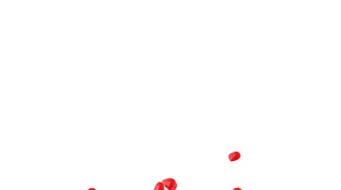 Flying red heart on white background Stock Footage 58086882